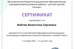 active_teacher_top2021_Voytyuk_Valentina_Sergeevna