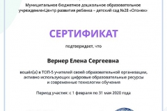 active_teacher_top_5_Verner-Elena-Sergeevna
