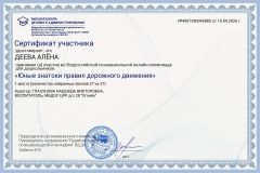 sert_pdd_deeva_alina