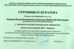 sert_burenkova