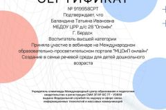 webinar_balandina_ti