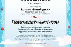 diplom_2_mesto