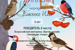 vlasenko-ilyya32